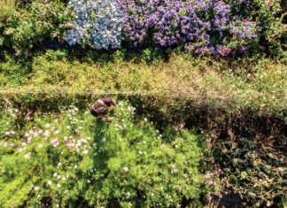 Organic Blooms For Your Beloved