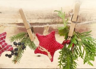 Best alive Tips for a Natural, Healthy, Eco-friendly Holiday