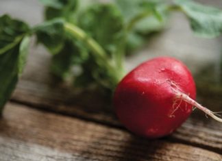 Make Now, Salad Later