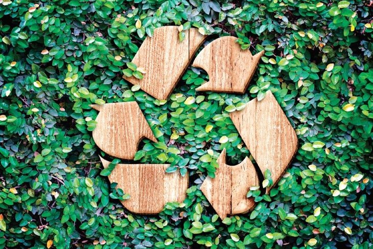 This Is How You Should Actually Be Recycling
