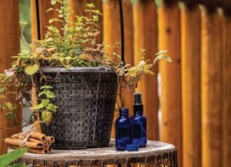 The Top 9 Antiviral Essential Oils