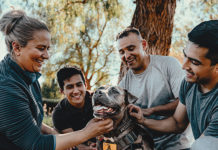 The Benefits of Service Dogs