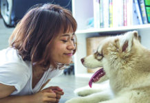 How to Find the Right Dog for Your Family