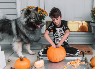 4 Tips to Celebrate Halloween with Your Pet