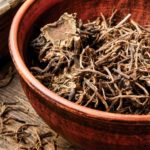 health-roots_Valerian-root_web.jpg