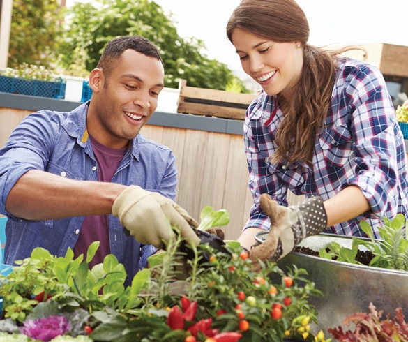 10 Tips for Urban Gardening - 13835