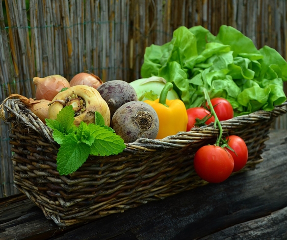 10 Easy Vegetables to Grow in Your Garden GEN00065 4985 re?id=4985