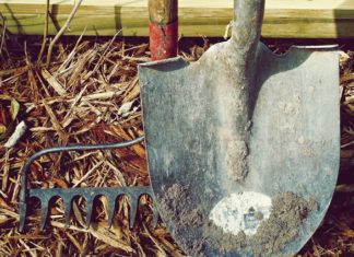 Essential Gardening Tools